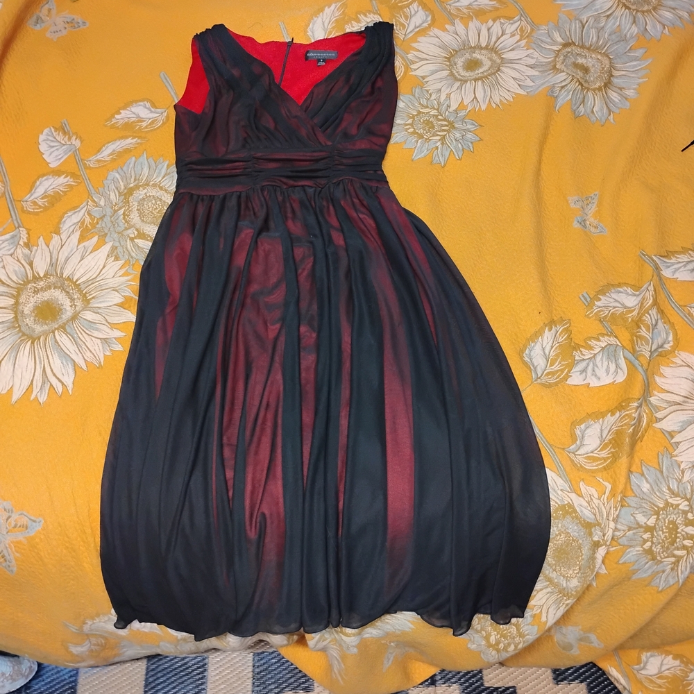 Connected Apparel Black and Red Dress